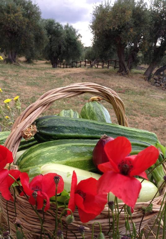 Agriturismo Prati Degli Orti Montiano  Exterior foto