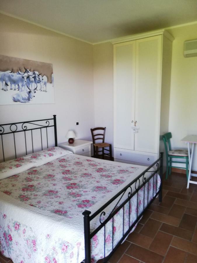 Agriturismo Prati Degli Orti Montiano  Exterior foto